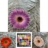 Pu Gerbera Daisy Artificial Flower For Wedding Decor Home Styling Soft Rubber Material