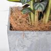 1000G Coconut Fiber Flowerpot Cover Resting Accessory Pet Bedding Comfortable Bird Cage Nest