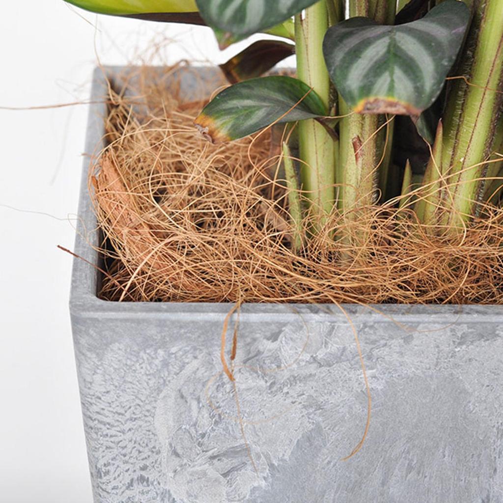 1000G Coconut Fiber Flowerpot Cover Resting Accessory Pet Bedding Comfortable Bird Cage Nest