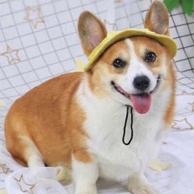 Corgi Güneş Şapkası Evcil Hayvan Şapkası Kulak Delikli Köpek Güneş Şapkası Ayarlanabilir Boyun Askılı Küçük ve Orta Boy Evcil Hayvanlar için Dış Mekan Güneş Koruması