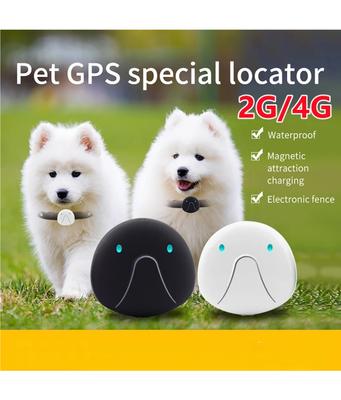 4G SIM Card Pet Tracker Real Time Pet Cat Dog GPS Tracking Collars Smart Pet Activity Monitor Tracking Device