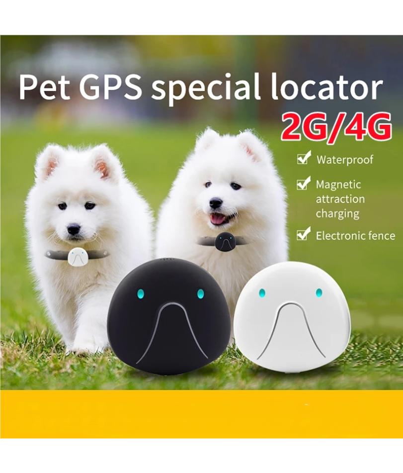 4G SIM-Karte Haustier-Tracker Echtzeit Haustier Katze Hund GPS-Tracking Halsbänder Intelligenter Haustier-Aktivitätsmonitor Tracking-Gerät