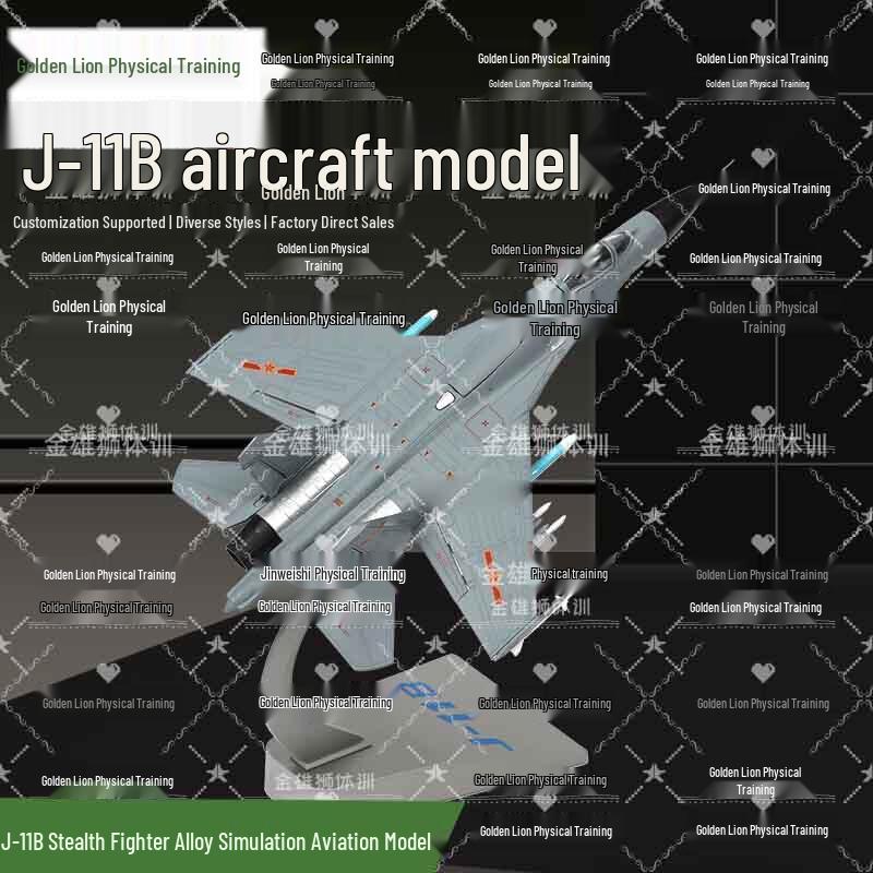 Golden Lion J-11B Fighter Jet Alloy Model