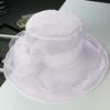 Organza Hat for UV Actress Wide Floral Slimming Beach Birthday Present [IPENNYE] Women, Protection, Summer, Bridal, Headpiece, Hat, Brim, Cap, Tulle,