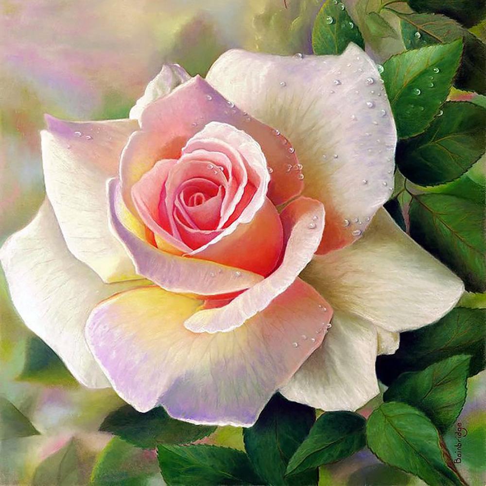 

5D DIY алмазная живопись романтический цветочный пейзаж полный алмаз квадратный/круглый Алмазная вышивка набор крестиков домашняя стена декоративное искусство Square Drill 30x30cm