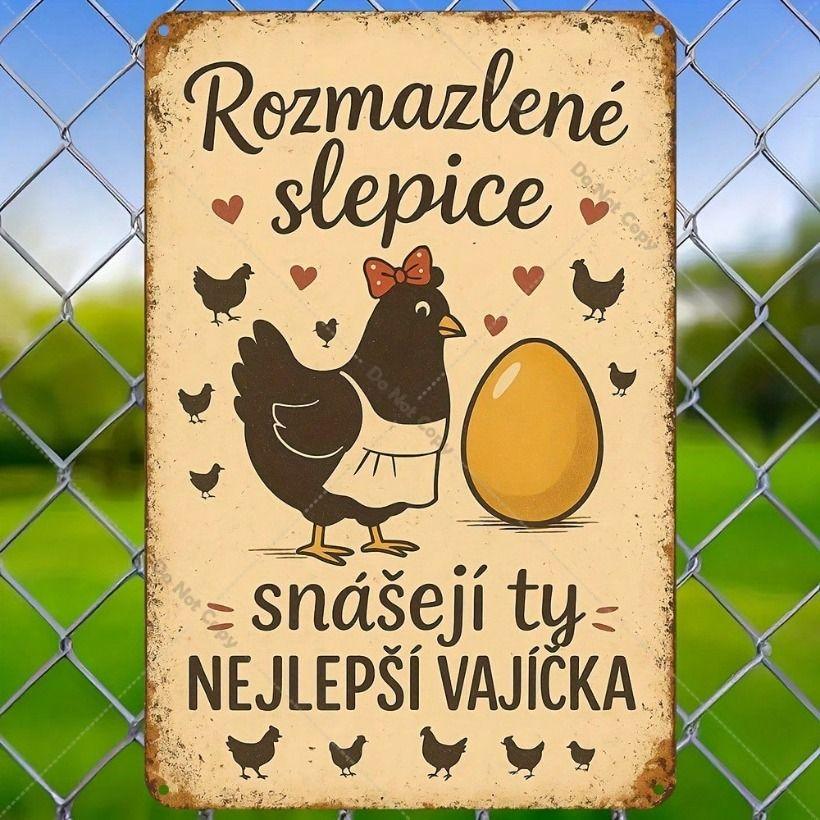 

Vintage Metal Chicken Egg Sign, Iron Kitchen Wall Decor
