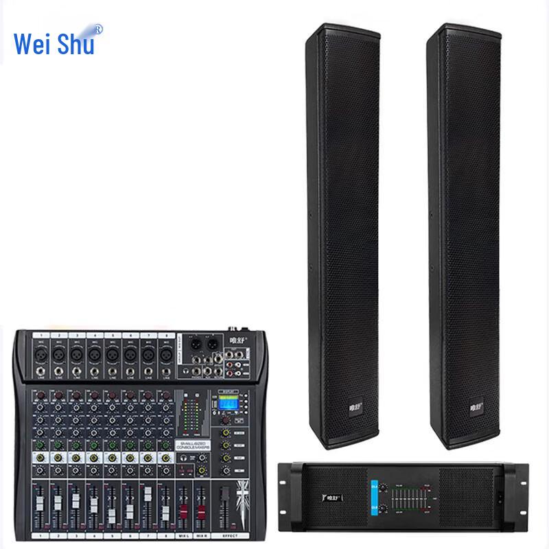 Weishu P-600 Professional Wall-mounted Speaker System