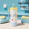 MRSIKEY Portable Insulated Straw Water Bottle