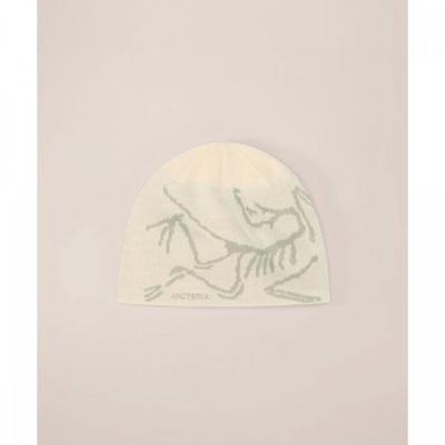 Arcteryx Bird Head Toque Sea Salt Aeqsu06756