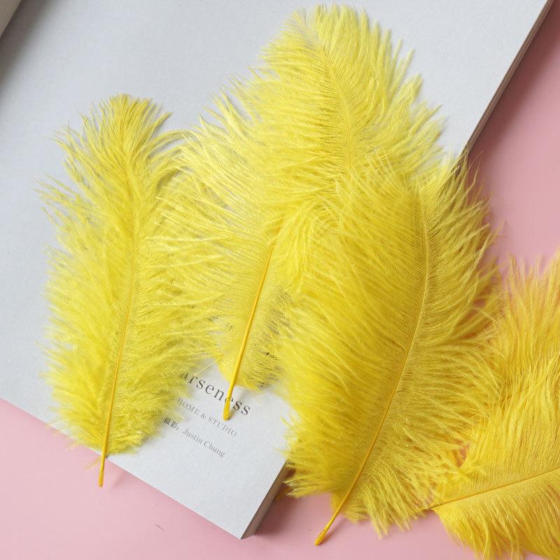 Colored Ostrich Hair 15-20Cm Wedding Ornament Wall Decoration Feather Wall Hand Bouquet Diy Dream Catcher Material