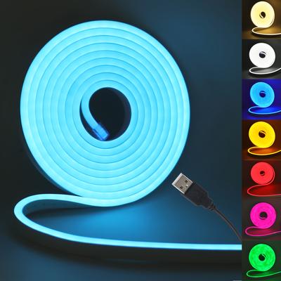 USB Neon LED Streifenlicht DC 5V 2835 120LEDs./M Wasserdicht Flexibles Neonseil Licht Rot Blau Weiß Pink Grün Klebeband Zimmer Hintergrundbeleuchtung