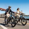 PULUMA PE86 Electric Bike, 500W Motor, 48V 20Ah Battery, 26 X 3.0 Inch Tires, 150 Km Range