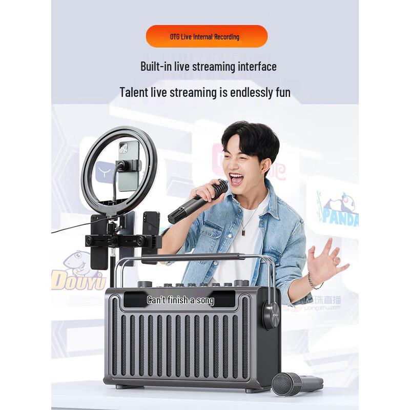 SANSUI E96 High-Power Portable Karaoke & Live Stream Speaker