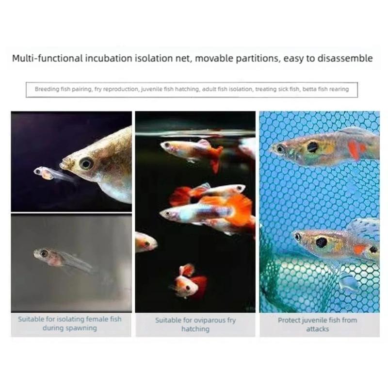 Suspended Aquariums Breeding Box Clear Isolation Net For Fishtanks With Easy Installation Plastic Nursery Divider
