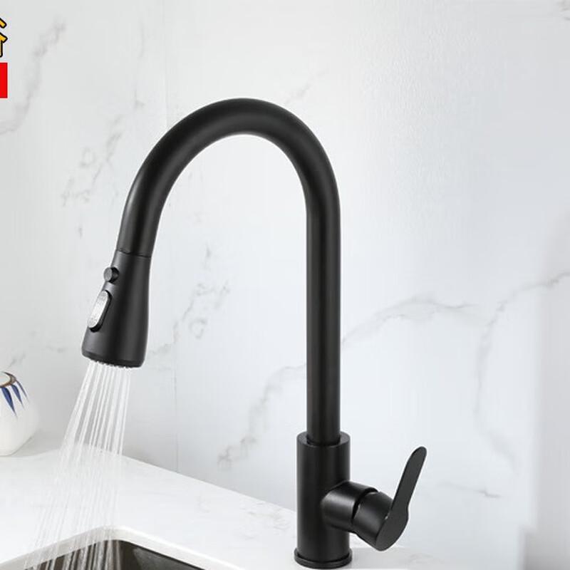

TLXT304 Stainless Steel Pull-Out Kitchen Faucet