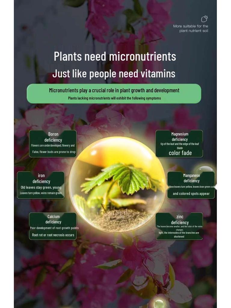 Organic Bougainvillea & Winter Sweet Rooting and Nutrient Fertilizer