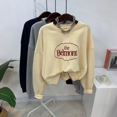C S In The Room Embroidery letterIng Crop Long Sleeve SweatShirt 3 ColorS