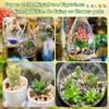 200 Pcs Miniature Garden Accessories, Including Animals, Mini Houses and DIY Dollhouse Decoration, Miniature Figurines, Micro Landscape Ornaments,
