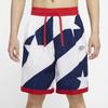 Nike Quick-Dry Flag Shorts Men Bottoms Blue White CK6312-492