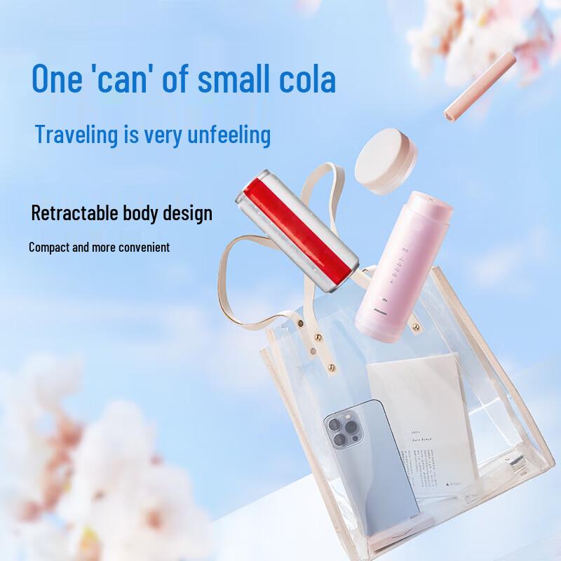 Panasonic Portable Water Flosser EW-DJ33 CN plug (adapter included)
