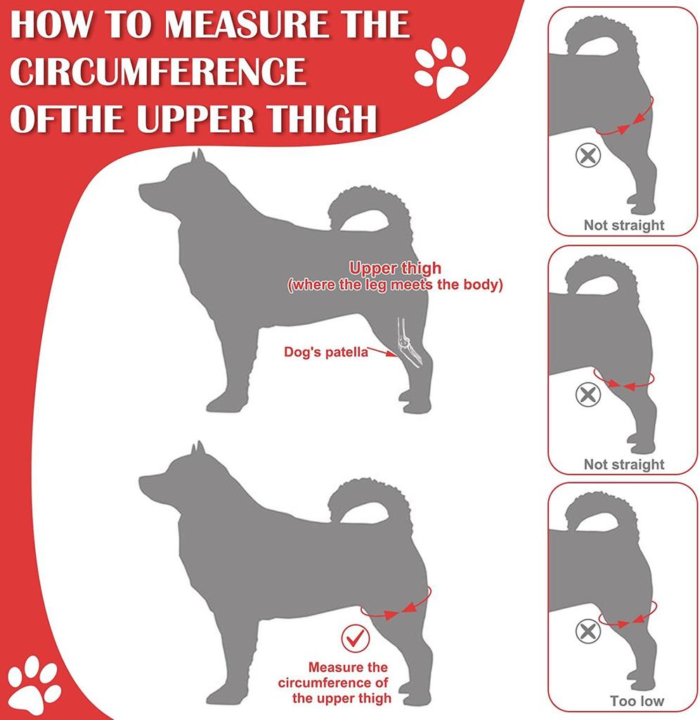 Dog Leg Fracture Brace, Pet Front and Rear Leg Support Strap, Dog Knee Brace, Dog Thigh Injury Protective Cover