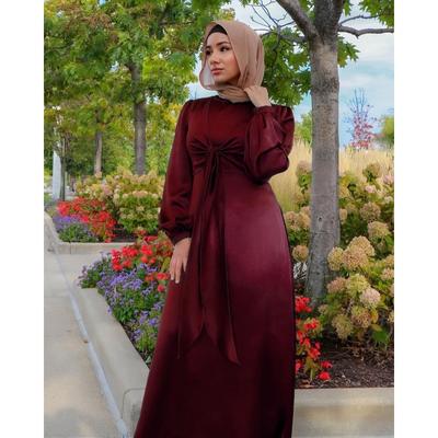 Spring New Waist Lace-up Elegant Satin Dress