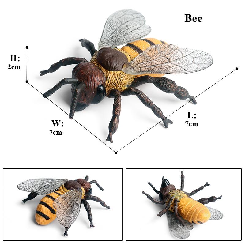 Oenux Wild Insect Animals Model Mantis Grasshopper Butterfly Bee Beetle Action Figures PVC Science Education Collection Kid Toy