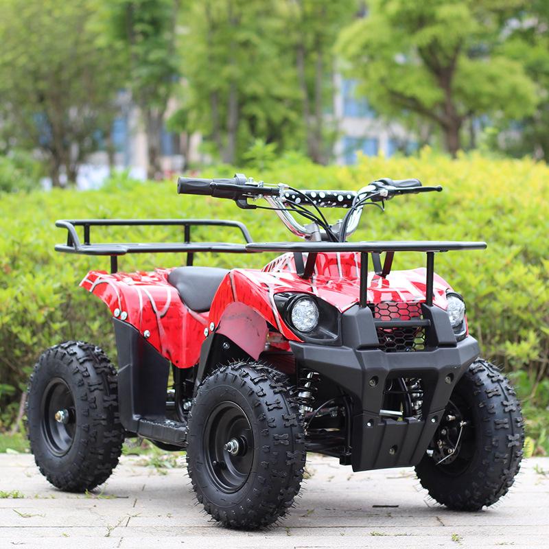 Children's Electric Beach ATV - 36V 800W All-Terrain Off-Road Recreational Vehicle