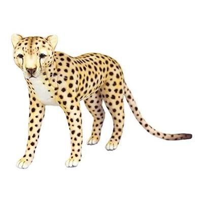 BH7241 HANSA Cheetah 34