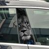Blaue Augen Löwe Tiger Tier Auto B-Säule Aufkleber Auto Mittel Säule Dekoration Abdeckung Kratzer Wasserdicht Aufkleber Auto Zubehör