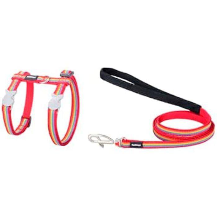 Harnais pour Chien - RED DINGO - Rainbow - Multicolore - 21-35 cm - Petit