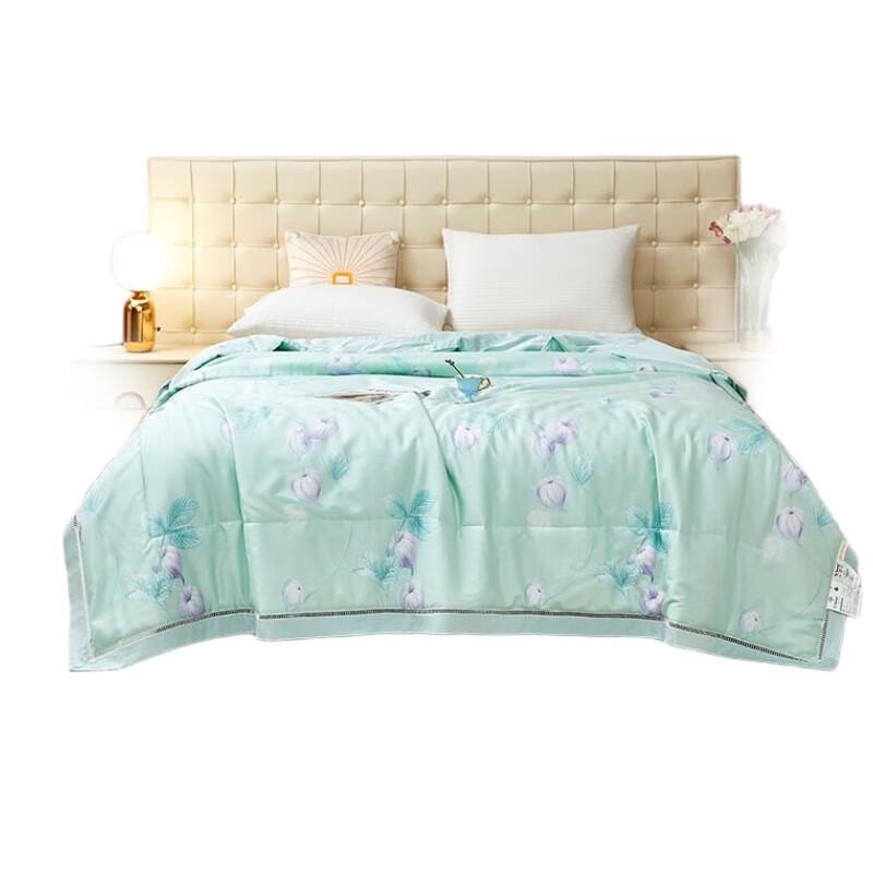 Tencel Mulberry Silk Summer Quilt