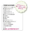 Sunstar Stationery Snoopy Childcare Diary B5 Red S2070588