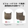 DGAZ Evelyne Bag Inner Bag, Inner Bag, Bag Organizer, Made of Premium Silk Satin Fabric, with Multi-Function Pockets, for Evelyne Bags (Etoupe, Mini)