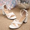 Fashion 2025 Summer Brand Elegant Women Office Sandals Fashion Hot Sale Med Chunky Heels Lady Elegant Dress Shoes Dress Sandals Women