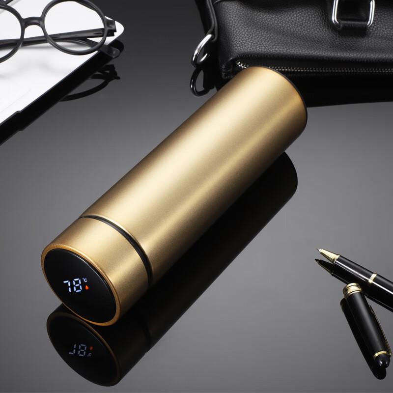 MRSIKEY 500ml Smart Temperature Display Stainless Steel Water Bottle, Champagne Gold
