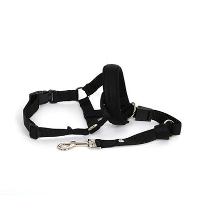 Köpek – Ağızlıklar