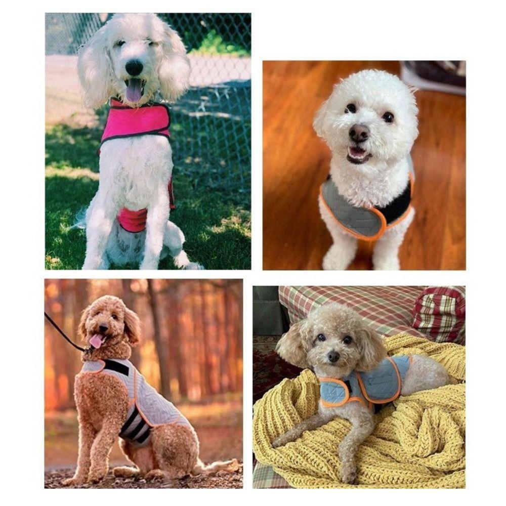 Practical Elastic Dog Anxiety Jacket Breathable Skin-Friendly Dog Thunder Vest Soft Adjustable Dog Rainy Vest for Dogs and Cat