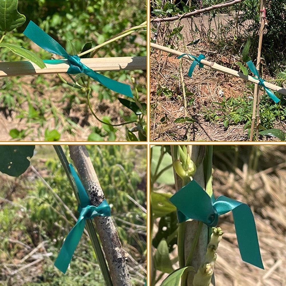 Экологичная лента для прививки плодовых деревьев, прививочная мембрана, садовый пояс, лента для привязывания растений