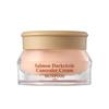 SKINFOOD - Salmon Darkcircle Concealer Cream - 3 Colors