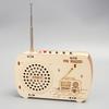 Wissenschaft und Technologie Kleine Produktion Kinder Lernspielzeug DIY Radio Student Selbstgemachtes handgemachtes Modell Wissenschaftliches Experiment