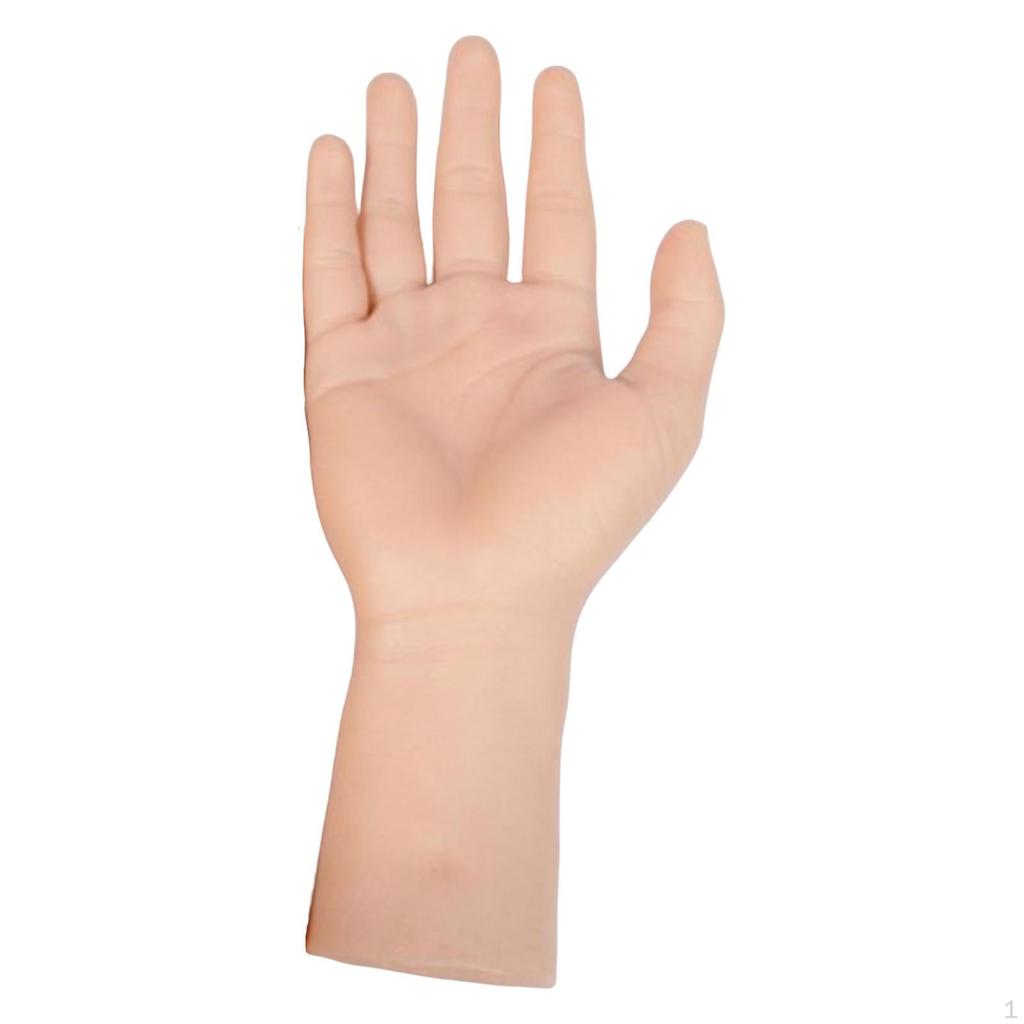 Übungsgröße, Handmodell, für Auslage, Künstler-Starter