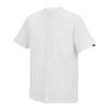 Regatta Mens Lovrey Shirt
