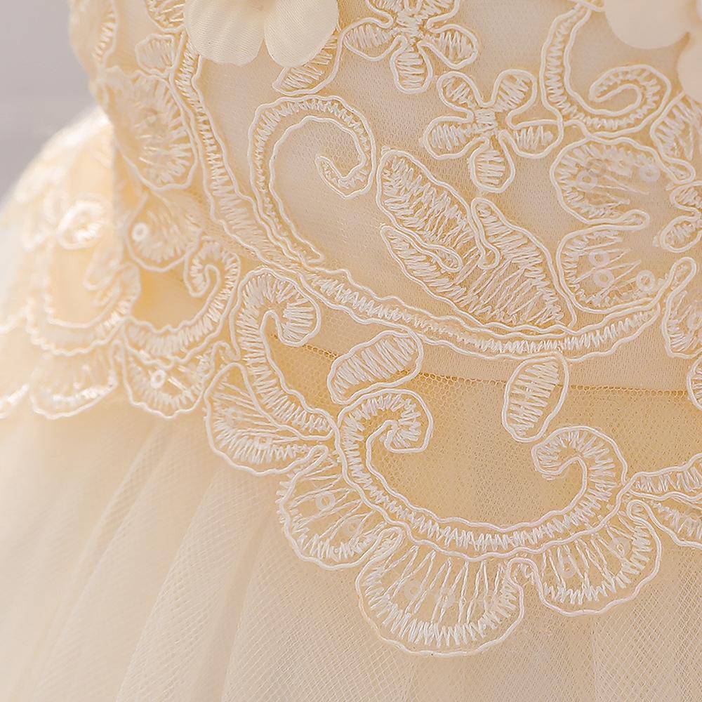 Novorozené dívky První roky Narozeninové šaty princezny Květina Křest Oblečení Kojenecká párty Kostým Květinové šaty s potiskem pro děti Dívky