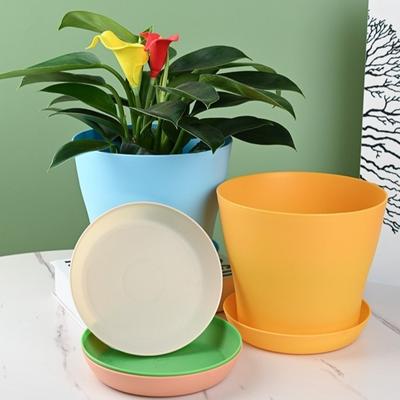 8pcs/set Candy Color Flower Pot Plastic Round Plant Pot with Drainage Holes with Tray Succulent Plant Pots Seedling Potted