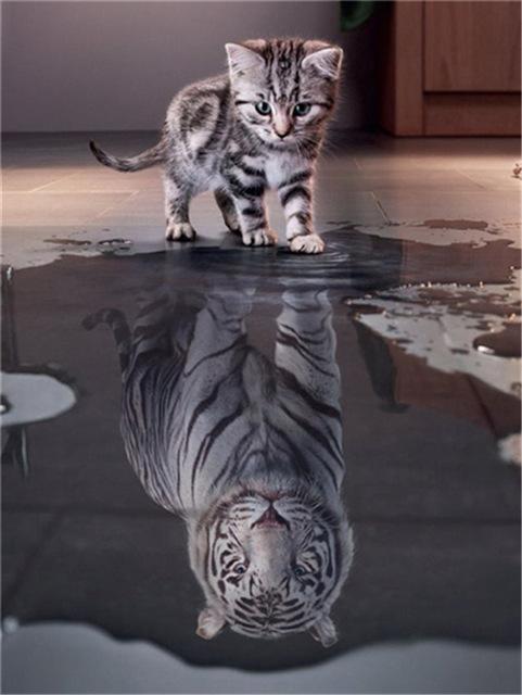 Broderie cu diamante 5D cu punct de cruce Wolf Diamond Art Painting Mozaic alb-negru Cadou lucrat manual