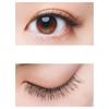 Koji Honpo 3D EYES Eyelashes 06 Light Accent Double Black 3 Pairs (for Eyelids) (x 1)