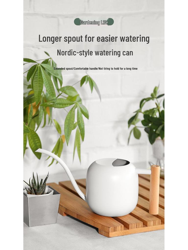 Stainless Steel Long-Spout Watering Can with Misting Sprayer for Gardens