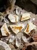 Paleontological fish fossils for teaching children natural sciences, Random size