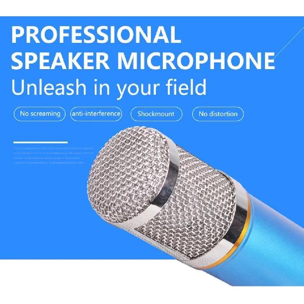 Professional BM 800 karaoke microphone BM800 studio condenser mikrofon mic bm-800 For KTV Radio Braodcasting Singing Recording